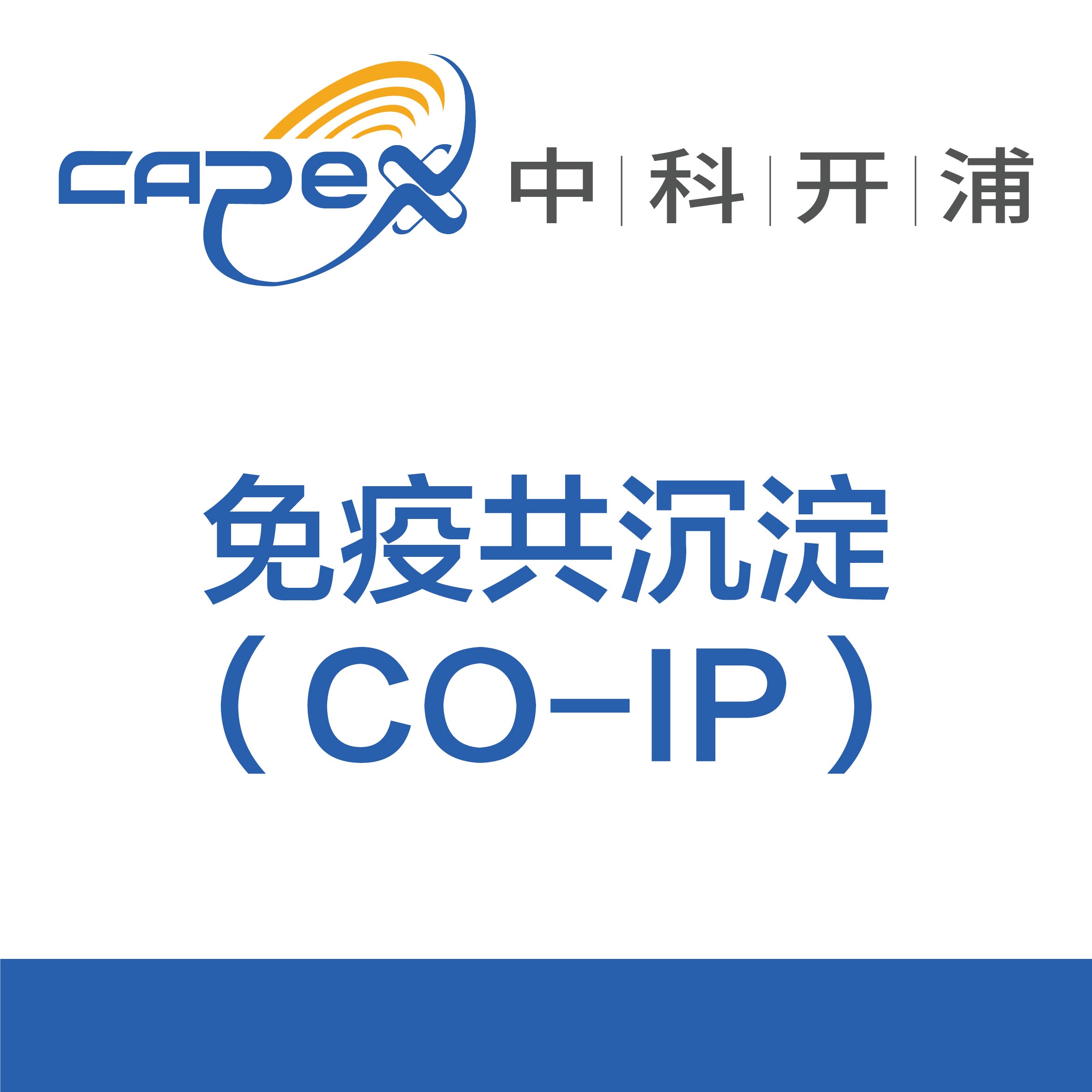 免疫共沉淀(CO-IP)产品图