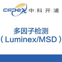 多重细胞因子检测