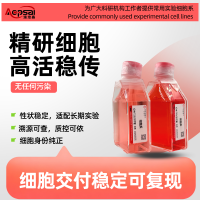 人支气管平滑肌细胞永生化