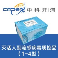 灭活人副流感病毒质控品4型