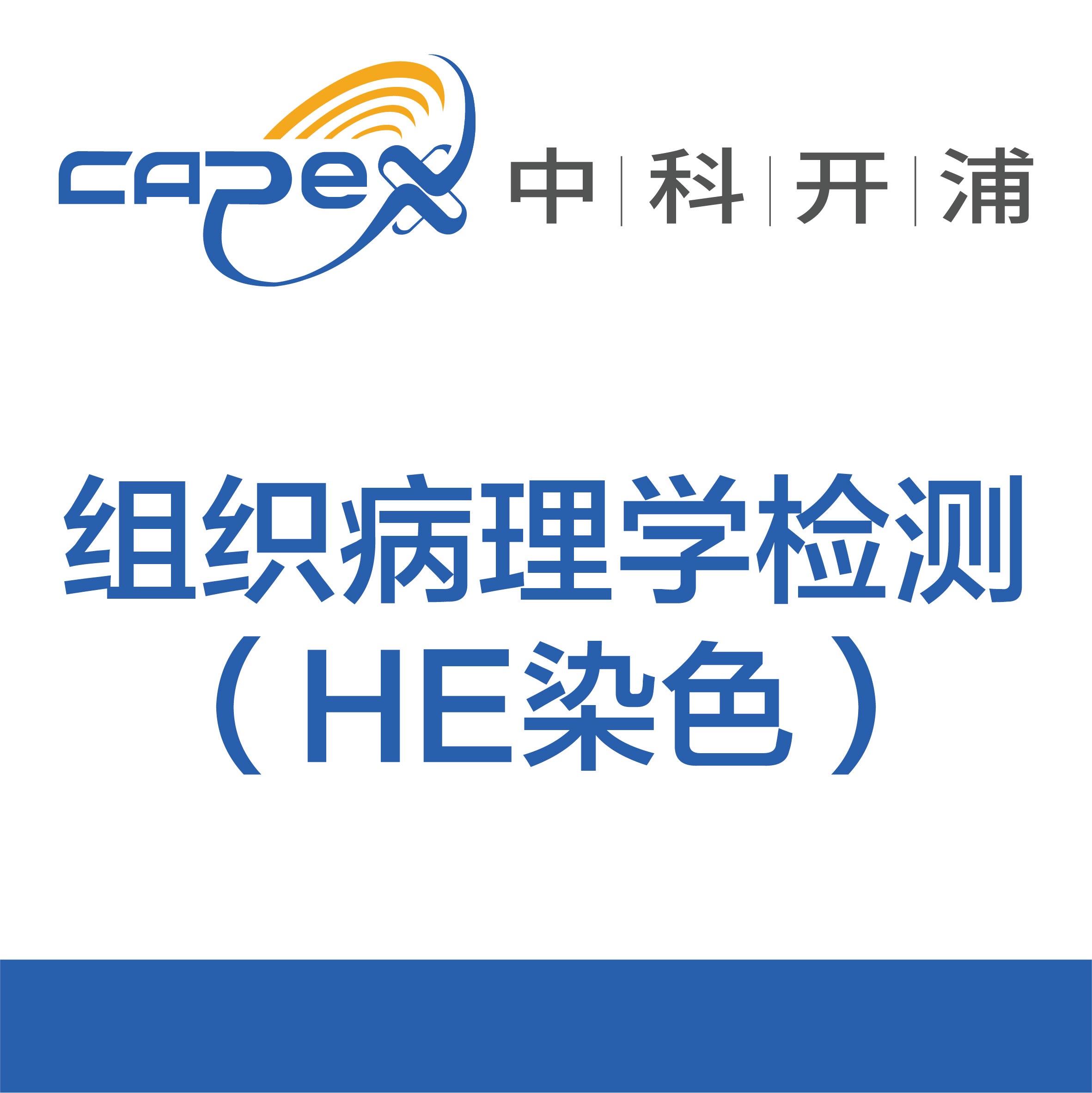 组织病理学检测（HE染色）产品图