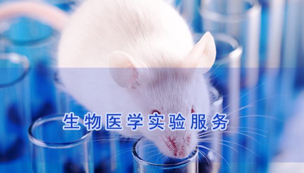 抑郁症动物模型构建全解析