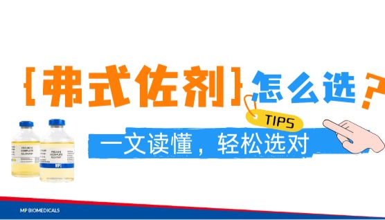 免疫佐剂界的金标准 | 弗氏佐剂：完全型与不完全型，到底怎么选？