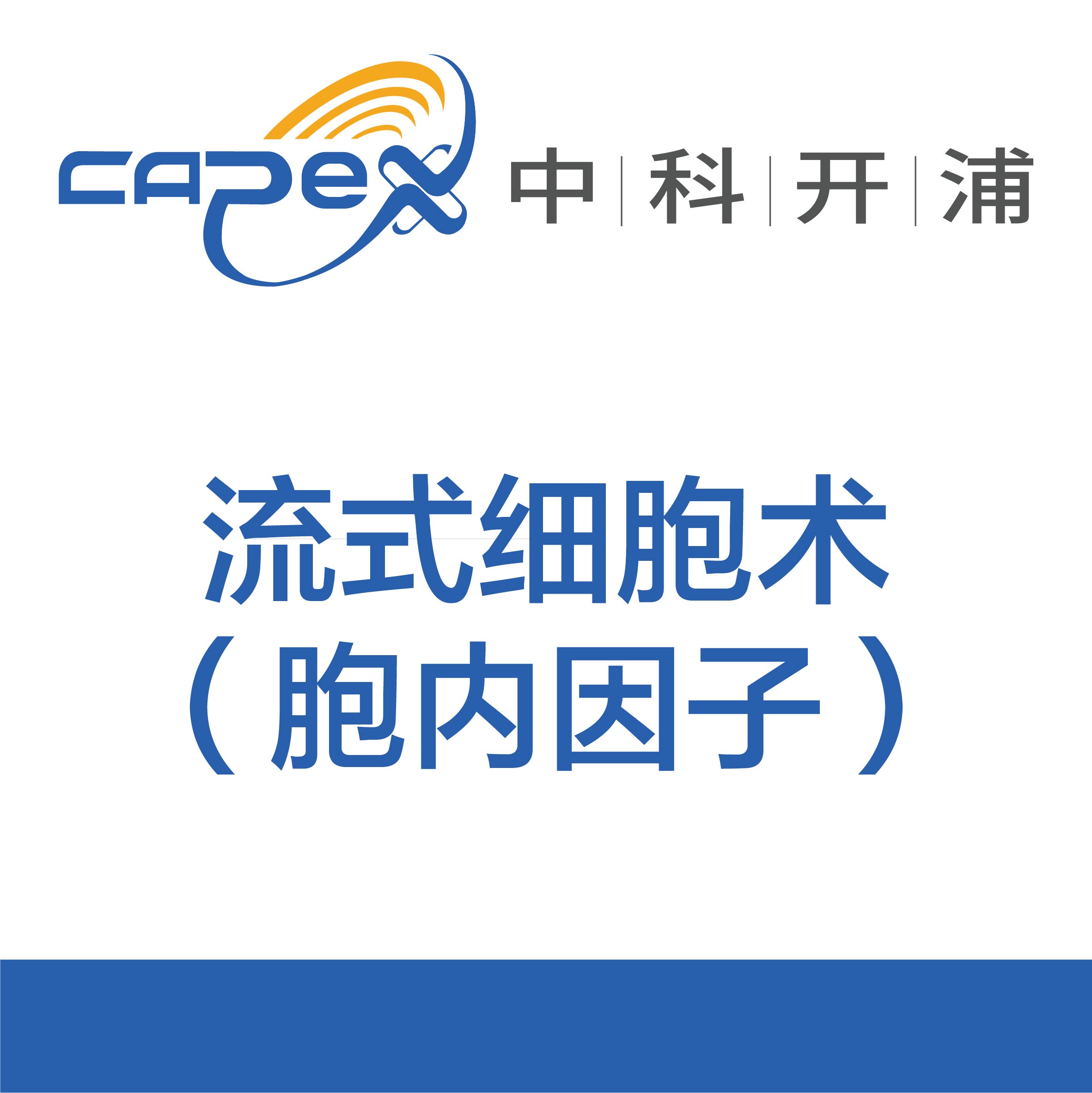 流式细胞术（胞内因子）