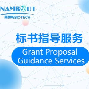 标书指导、评估、设计、修改