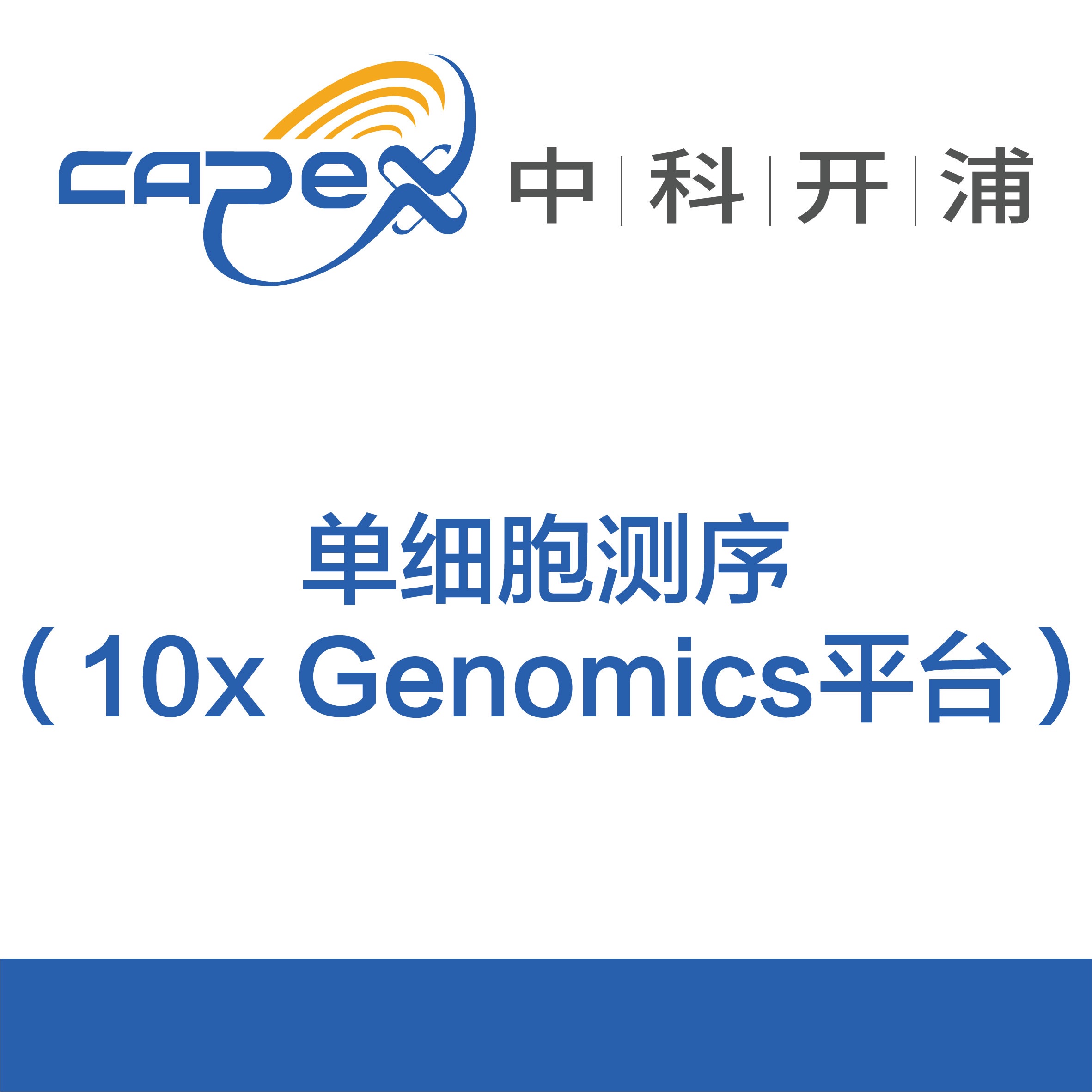单细胞测序(10x Genomics平台)