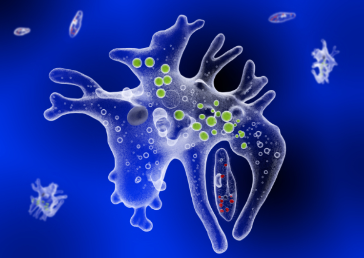 新闻图片1