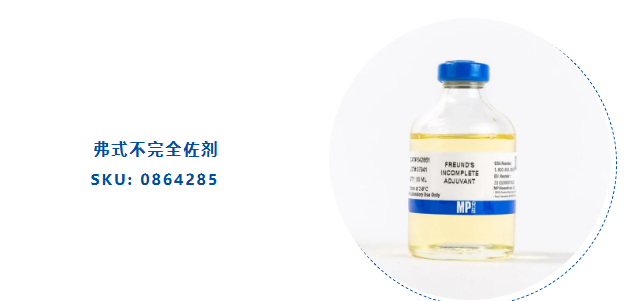 新闻图片3