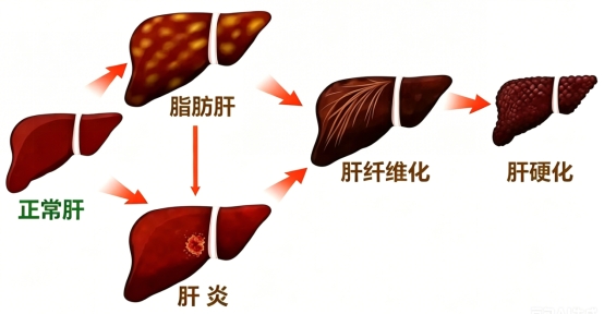 新闻图片1