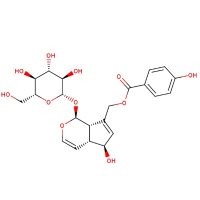 穗花牡荆苷,11027-63-7,Moligand™,≥98%,阿拉丁