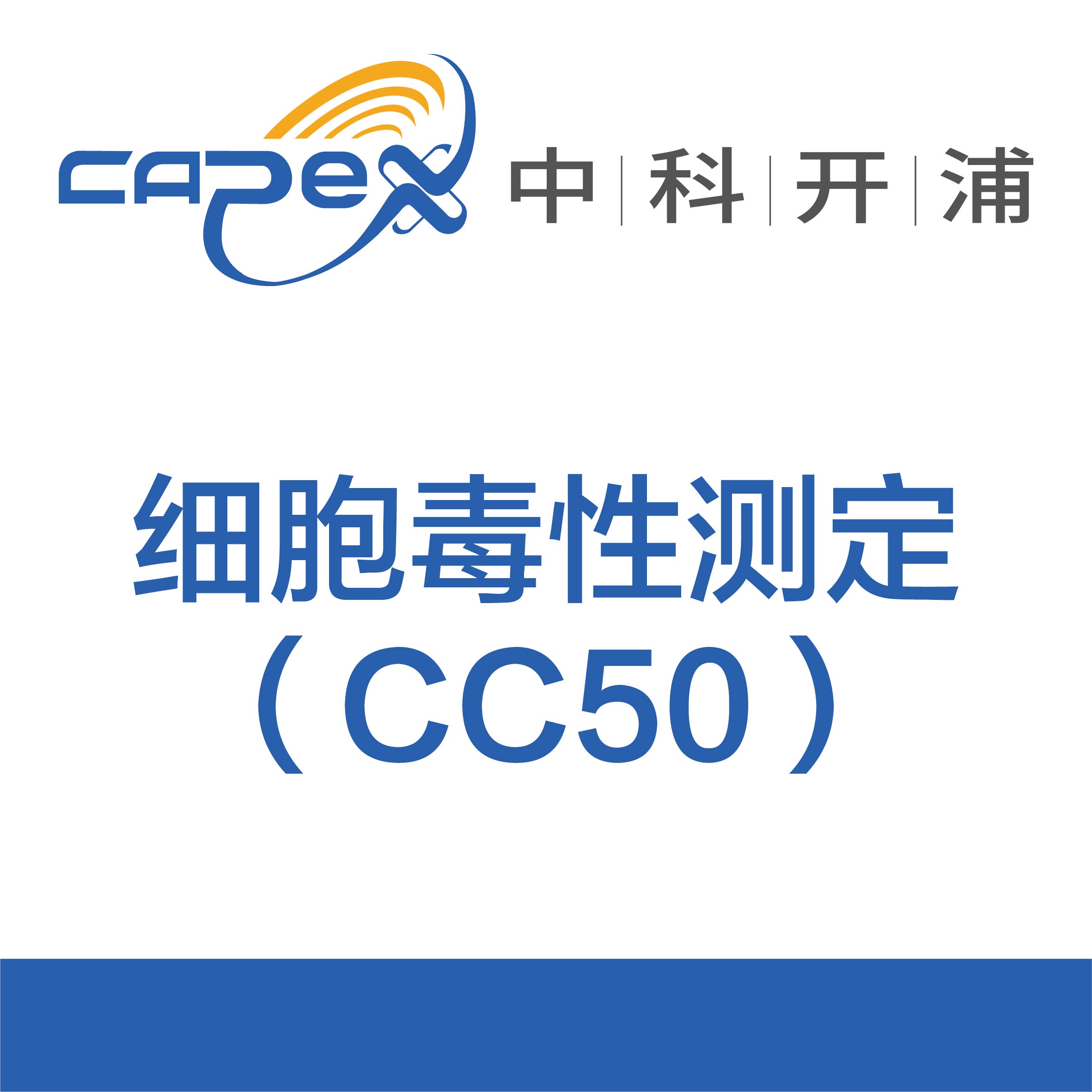 细胞毒性测定 (CC₅₀)