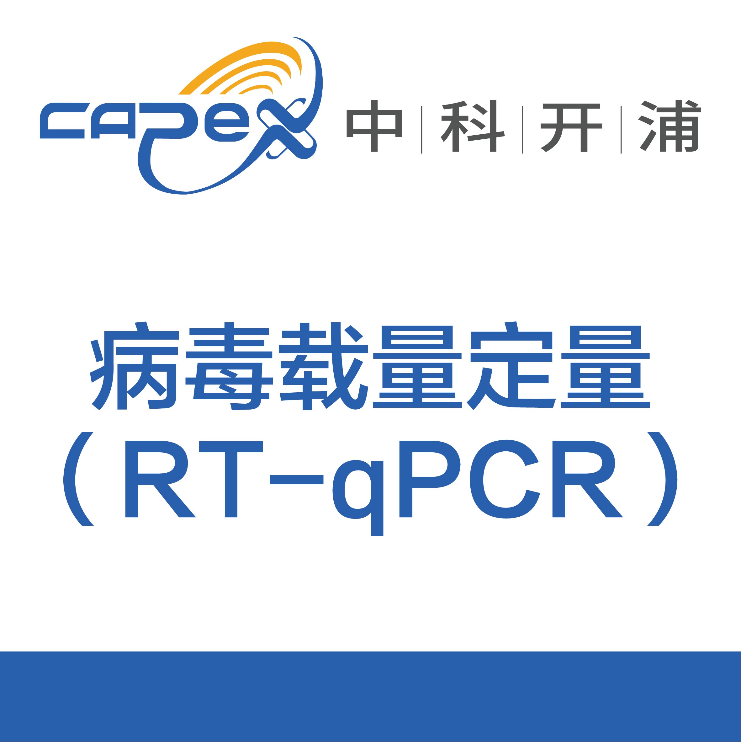 病毒载量定量（RT-qPCR）产品图
