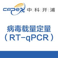 病毒载量定量(RT-qPCR)
