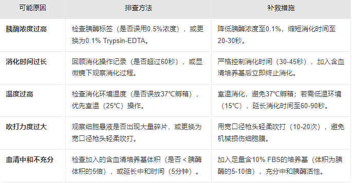 新闻图片2