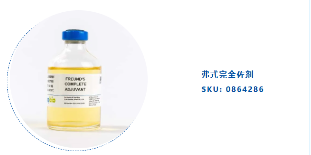 新闻图片2