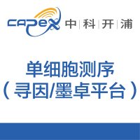 单细胞测序(寻因/墨卓平台)