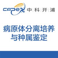 病原体分离培养与种属鉴定