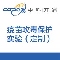 疫苗攻毒保护实验（定制）
