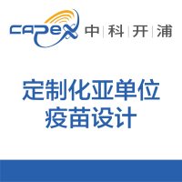 定制化亚单位疫苗设计