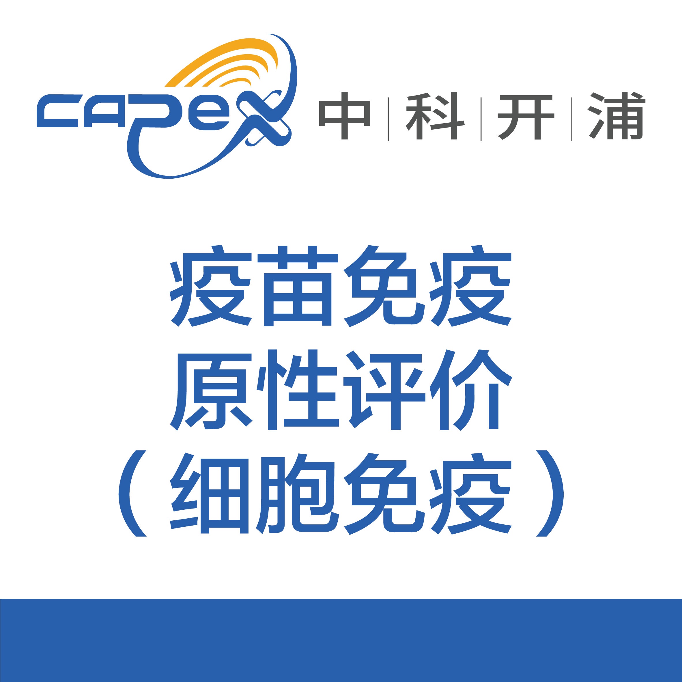 疫苗免疫原性评价(细胞免疫)