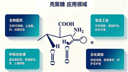 新闻图片1