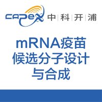 mRNA疫苗候选分子设计与合成