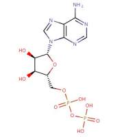 腺苷 5′-二磷酸 (ADP)，58-64-0，Moligand™, ≥95%(HPLC)，阿拉丁