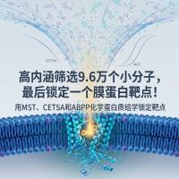 高内涵筛选9.6万个小分子，最后锁定一个膜蛋白靶点！这篇Nature子刊把机制做透了：用MST、CETSA和ABPP化学蛋白质组学锁定靶点