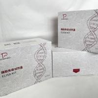 猪（Porcine）睫状神经营养因子(CNTF)ELISA检测试剂盒 