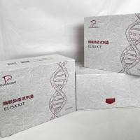 猪(Porcine)谷氧还蛋白3(GLRX3)ELISA检测试剂盒