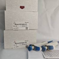 猪(Porcine)粘蛋白13(MUC13)ELISA检测试剂盒