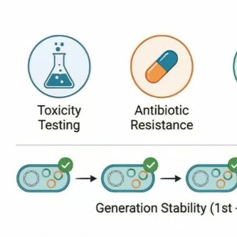 遗传修饰微生物安全性评估