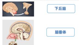 斯达特皮质醇抗体原料，解锁人宠双检精准新范式