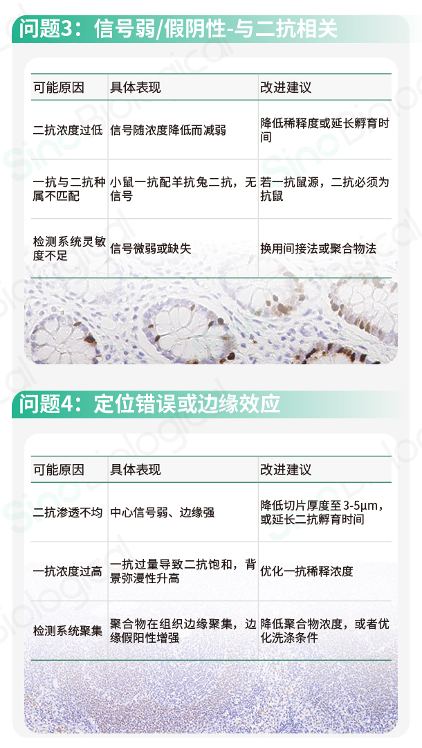 新闻图片2