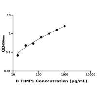 牛组织金属蛋白酶抑制因子1(TIMP1)ELISA试剂盒