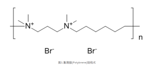 新闻图片1
