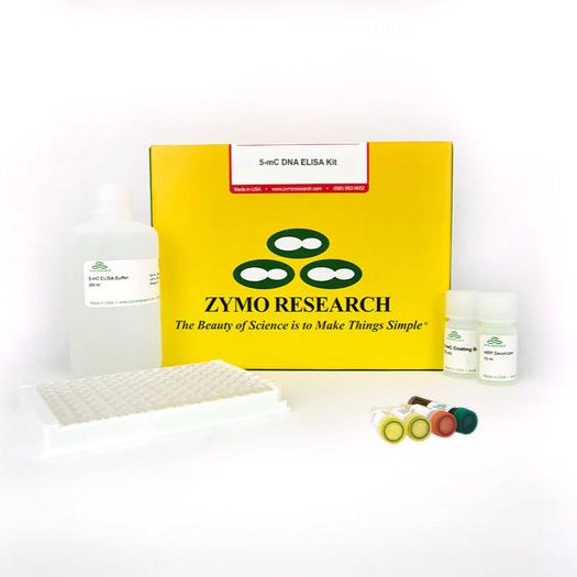 DNA 甲基化 (5-mC) ELISA 简易试剂盒 ( 1 x 96 Preps)产品图