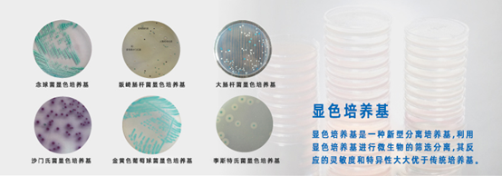 显色培养基实操科普：快速筛查致病菌，大幅提升第三方检测出样效率