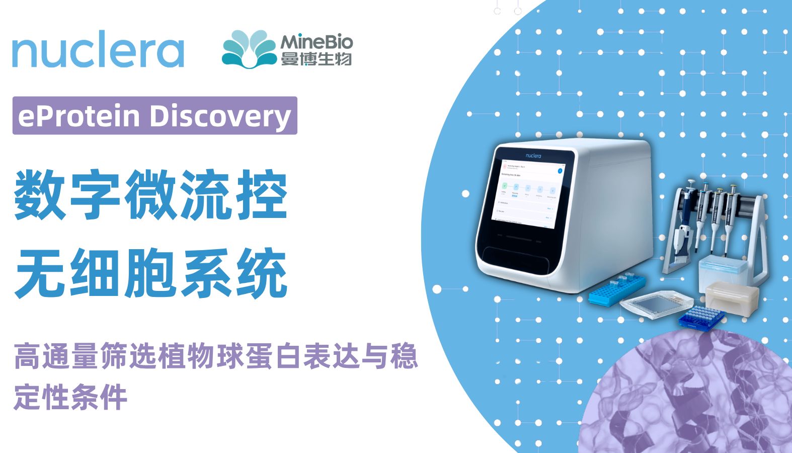 数字微流控无细胞系统：高通量筛选植物球蛋白表达与稳定性条件