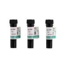 goat anti-rabbit IgG-HRP