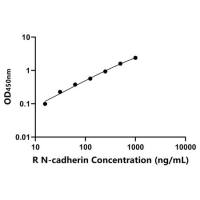 大鼠N-钙粘附分子(N-cadherin)ELISA试剂盒
