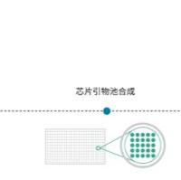 芯片合成（Oligo pools）