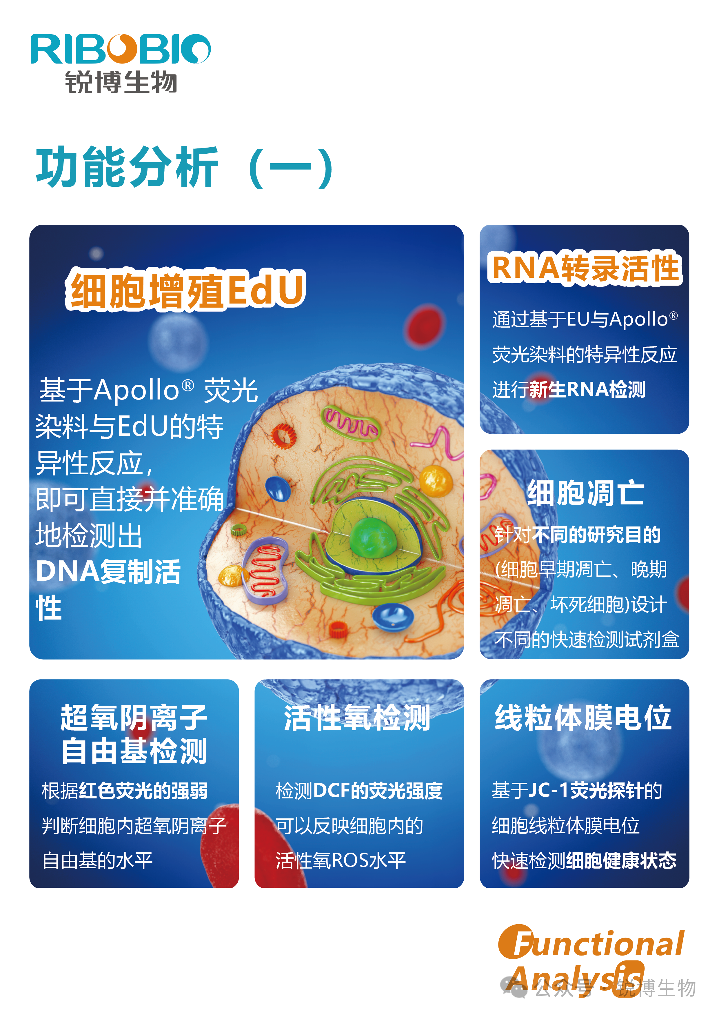 产品推荐 | 功能分析（一）