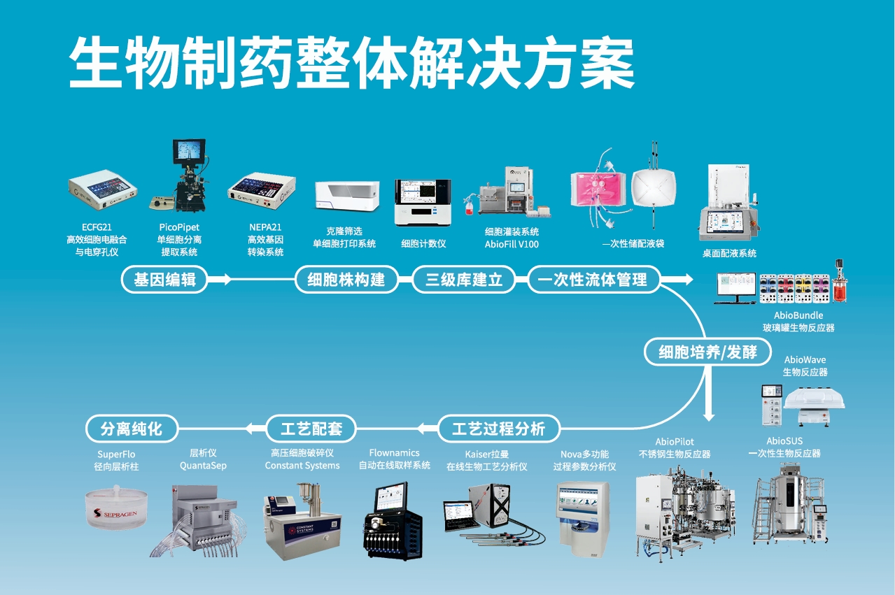 新闻图片2
