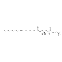 1-油酰基-2-羟基-sn-甘油-3-磷酸胆碱,19420-56-5,Moligand™, ≥99%,阿拉丁