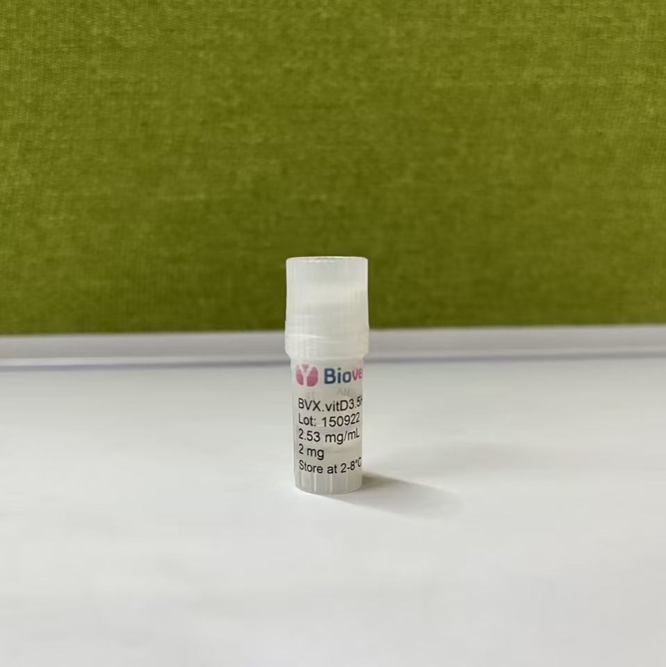 抗25-羟基维生素D（25-OH D）的绵羊单克隆抗体（SMA）