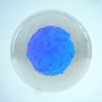 外泌体提取前处理试剂盒（乳液）