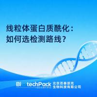 线粒体蛋白质酰化:如何选检测路线?
