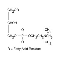 L-α-溶血磷脂酰胆碱(来自蛋黄),9008-30-4,Moligand™, ≥99%, Type I, powder,阿拉丁