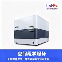 PLA可视化蛋白互作试剂盒(24孔板)